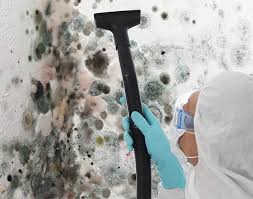  Mill Hall, PA Mold Prevention & Removal Pros